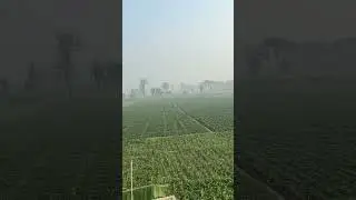 #bihar #muzaffarpur # Bihar weather