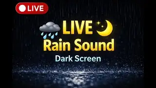 LIVE Rain Sound | Dark Mode Sleep