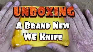 Unboxing the WE Knives Fornix EDC Folding Knife #weknives #knifeunboxing