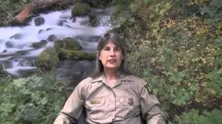 Recreation Pass Questions and Answers, Pacific Northwest Region