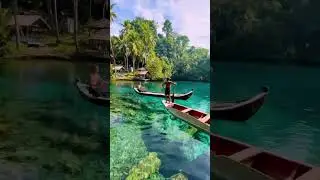 #youtubeshorts #nature #relax&antistress Good morning #nature #shorts
