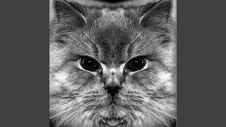 Purr