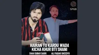 Hairan To Kardu Wada Kicha Khur Bti Shani (feat. Shah Subar Sabri & Ali Madad Sheedyii)