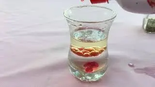 densité des liquides expérience.