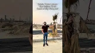 Bahria Town&rsquo;s Dubai Downtown 🌆 | Tipu Sultan Block &mdash; The Land of Skyscrapers in Lahore! - VLOGs