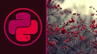 САМЫЕ ЧАСТЫЕ ОШИБКИ DJANGO | Python 3, Питон 3