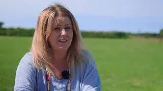 Categori Pwyllgor - ENILLYDD