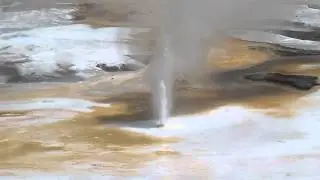 Yellowstone park. Norris Geyser Basin. Porcelain Springs. 1
