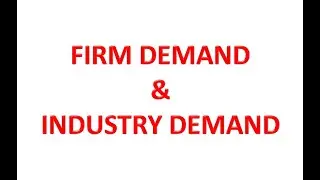 FIRM DEMAND AND INDUSTRY DEMAND ( HINDI )