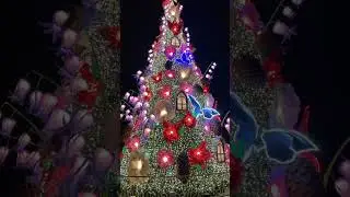 Selamat Hari Natal | Merry Christmas 2021 #shorts #xmas #malaysiatravel