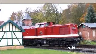 Busse in Teltow Fläming