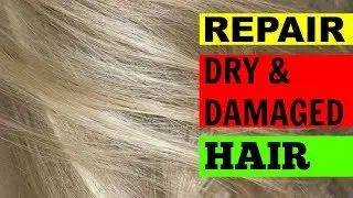 HOW TO FIX DRY DAMAGED HAIR AT HOME! REPAIR HAIR!