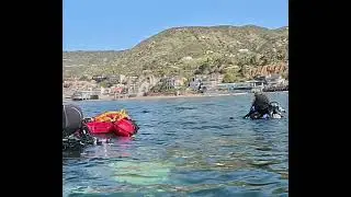 SCDiving | 𝗕𝗿𝗼𝗮𝗱 𝗕𝗲𝗮𝗰𝗵 𝗗𝗶𝘃𝗲 𝗥𝗲𝗽𝗼𝗿𝘁 &ndash; 𝗠𝗮𝗹𝗶𝗯𝘂, 𝗖𝗔
