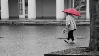 Nikon D5100 - Selective Color Effect