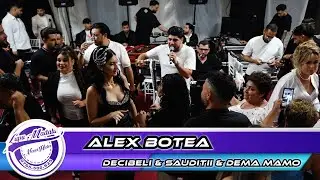 Alex Botea - Decibeli & Sauditii & Dema mamo by👍Never Hide Events🔔