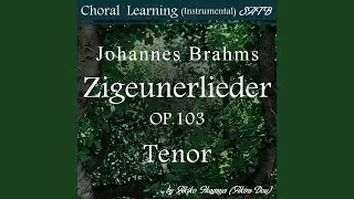 Rote Abendwolken ziehn am Firmament-Tenor