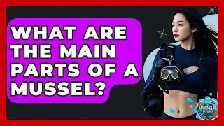 What Are The Main Parts Of A Mussel? - The Marine Life Explorer