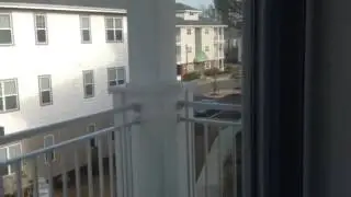Chesapeake Property Managment 2424 Chancery Lane #308 Real Property Management Hampton Roads