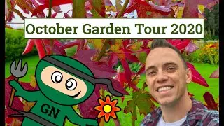 October Garden Tour 2020: Pruning special & viewers questions