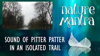 SOUND OF PITTER PATTER  (RAIN) IN AN ISOLATED TRAIL  (6 HOURS), FOR RELAXATION AND CALMNESS.