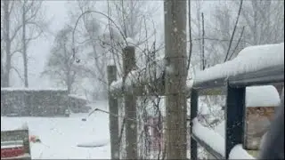 Blizzard 26’ live farming!