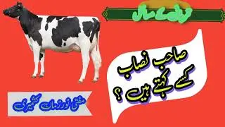 sahbe nisab Kise khte hen