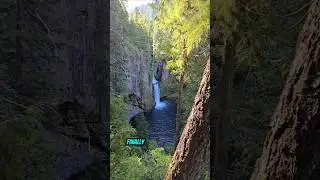 #oregon #waterfall #dogfriendly #hike #vanlife #solofemalevanlife  #van #vanlifetravel #solotravel
