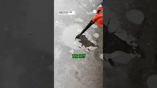 Genius Ice Removal Hack💡 ( Credit: @accuweather ) #shorts #viral #video