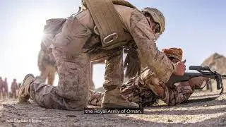 STEYR ARMS GOES OMAN