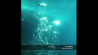 Cygna - Euclidean Subspace