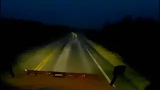 Moose Nearly miss || Semi Truck 105km/h || Newfoundland ||