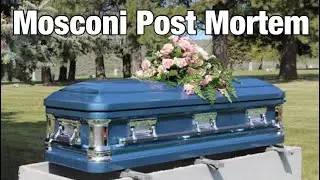 Mosconi Cup post mortem: Calling all gazillionaires