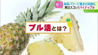 ときめき野菜通信〜パイナップルで“プル活”【どさんこワイド179】 2025-01-29