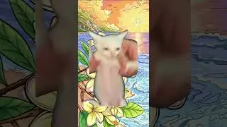 jaja