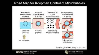 Koopman Linear Quadratic Regulator Control of Microbubble Oscillations For Biomedical Applications