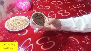 برج الاسد 🎀 اموال كبيرة ورزق واسع ❣️ مصير علاقتك مع الشريك 💯 صعود وعلو شأن ❤️ فرحه طال انتظارها