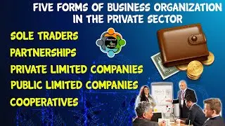 Five Forms of Business Organization in the Private Sector