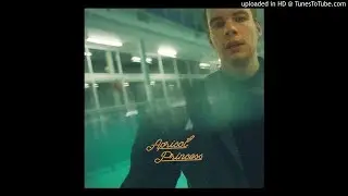 (REQUEST)(3D AUDIO!!!)Rex Orange County-Apricot Princess(USE HEADPHONES!!!)