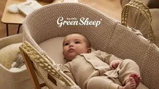 The Little Green Sheep - The home of the Moses basket