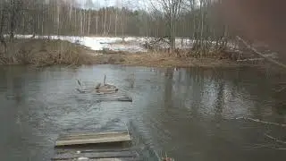 Мои слова по поводу Природы