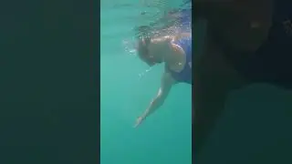 What will I do before an openwater swim?