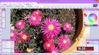 Как обрезать изображение в Paint.net