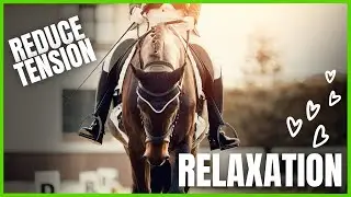 How to PROMOTE RELAXATION from The Complete Online Dressage Course | How To Dressage