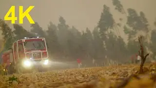 4K Free Stock Footage: Fire Truck + Firefighters. Out of  Focus (2 videos)