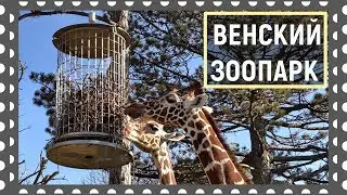 Венский зоопарк.  День 3