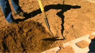Vegetable Garden Layouts