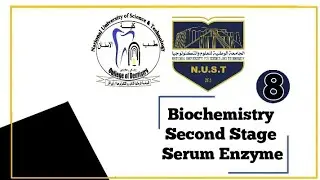 Biochemistry Practical - Second Stage - Serum Enzyme