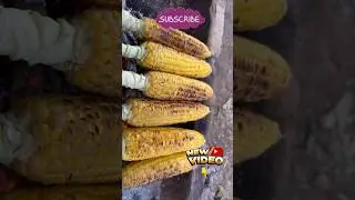 Rural life vlog/ Cooking in nature/ village food #short #shorts #tiktok  #rurallife #villagelife