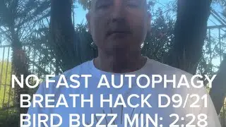 NO FAST AUTOPHAGY BIOHACKING BREATH DAY 9/21 CHALLENGE: HUMMING BIRDS, BIOLUMINESCENCE AT MIN 2:28!