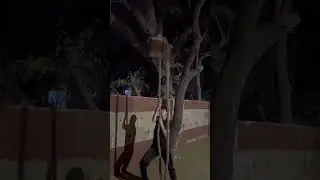 Ishq Jalakar#hurdles#jump#hurdles#100m#trending#shorts#ytshorts#shortvideo#viralvideo#viralshorts#yt